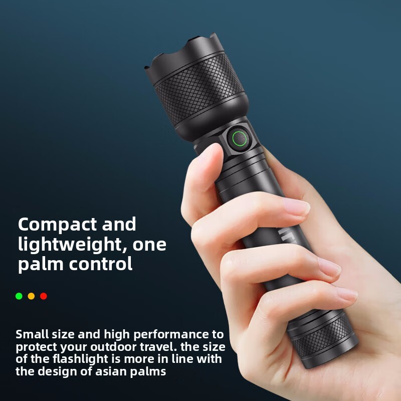 2025 신형 필립스 SFL2188 LED 알루미늄 합 - Outdoor Lighting Guide 리뷰 및 가격
